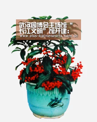 武汉园博会主场馆“长江文明”馆开建:开云官网首页(图4) 开云体育数据中心