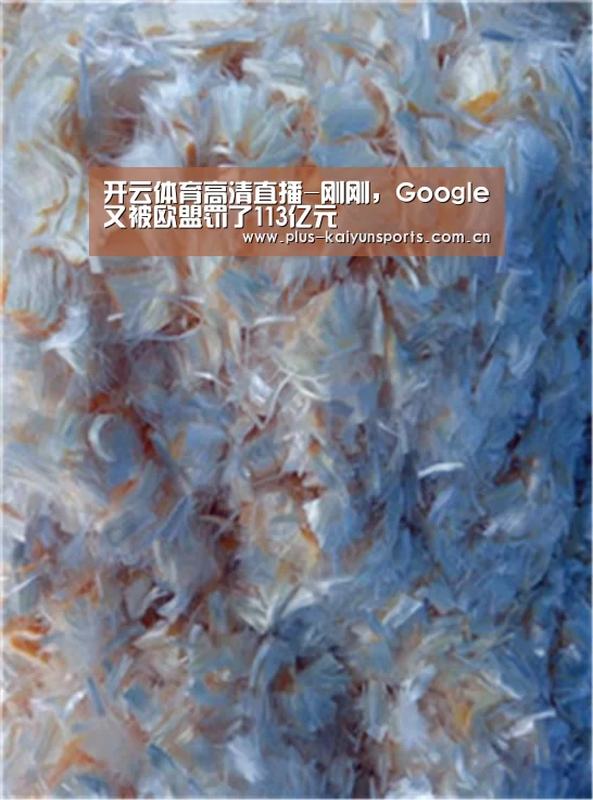 开云体育高清直播-刚刚,Google又被欧盟罚了113亿元(图1) KAIYUN SPORTS