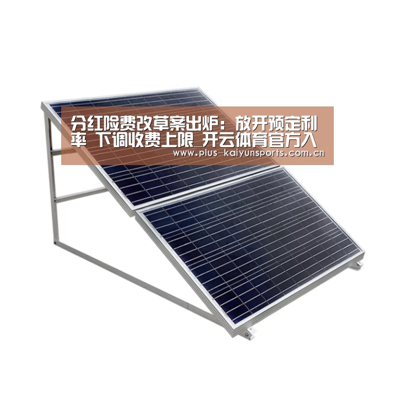 分红险费改草案出炉:放开预定利率 下调收费上限_开云体育官方入口(图1) KAIYUN SPORTS