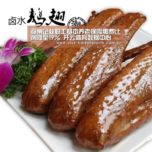 滁州企业职工基本养老保险缴费比例降至19%_开云体育数据中心(图1) KAIYUN SPORTS