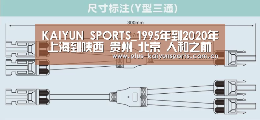 KAIYUN SPORTS